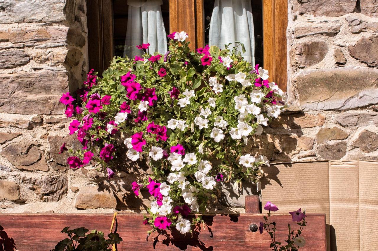 Hotel Valle Del Silencio San Esteban de Valdueza Eksteriør billede